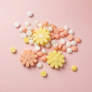 Flower Explosion Soy Wax Melts